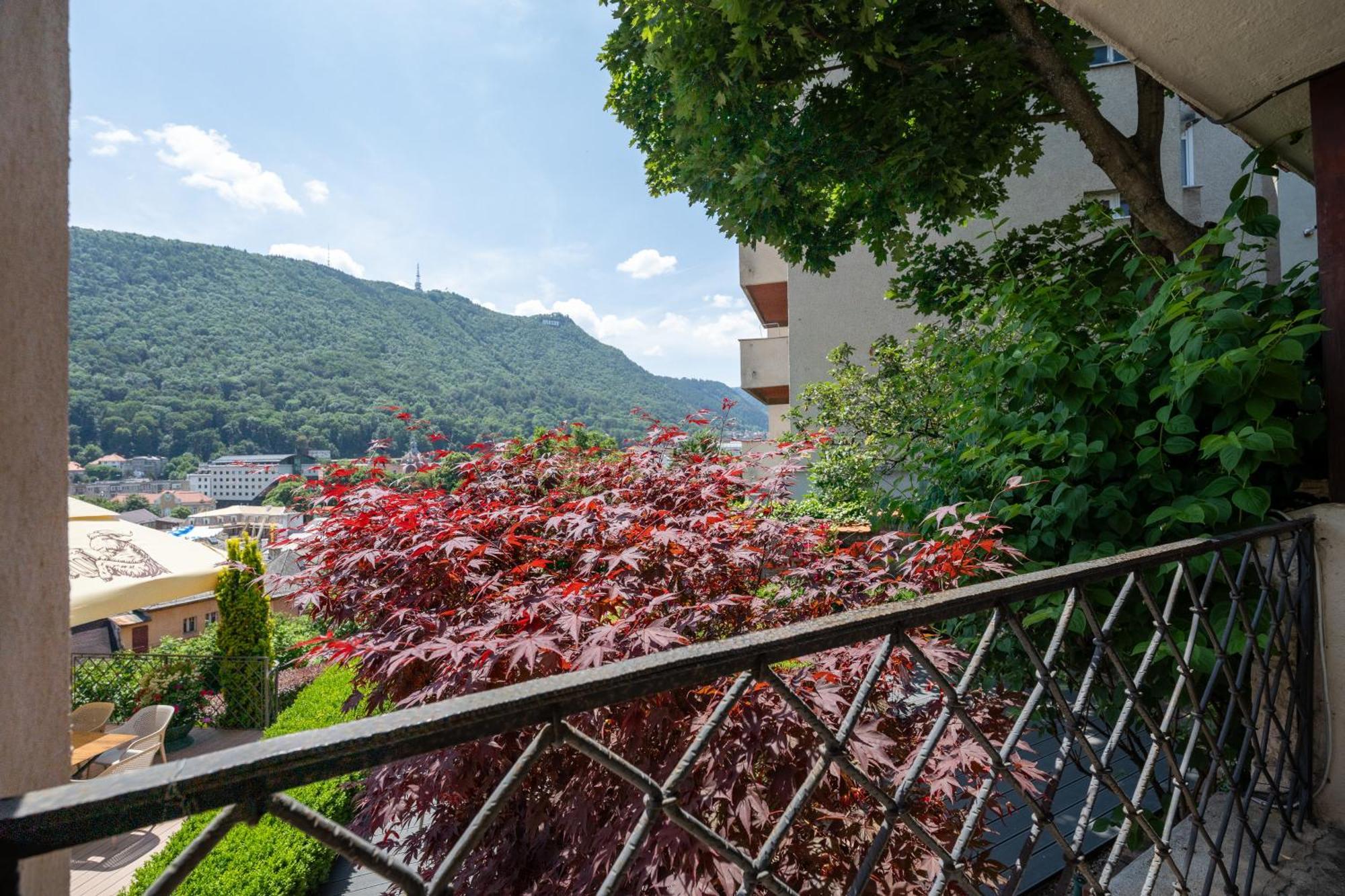 Casa Cranta 4*
